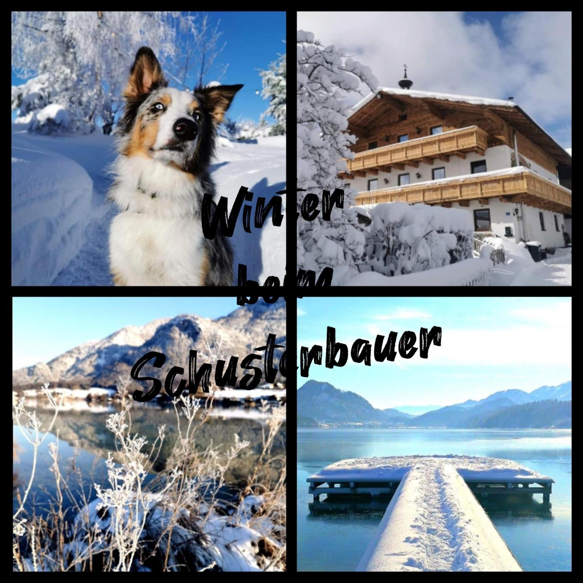 Schusterbauer Villa Koppl ภายนอก รูปภาพ