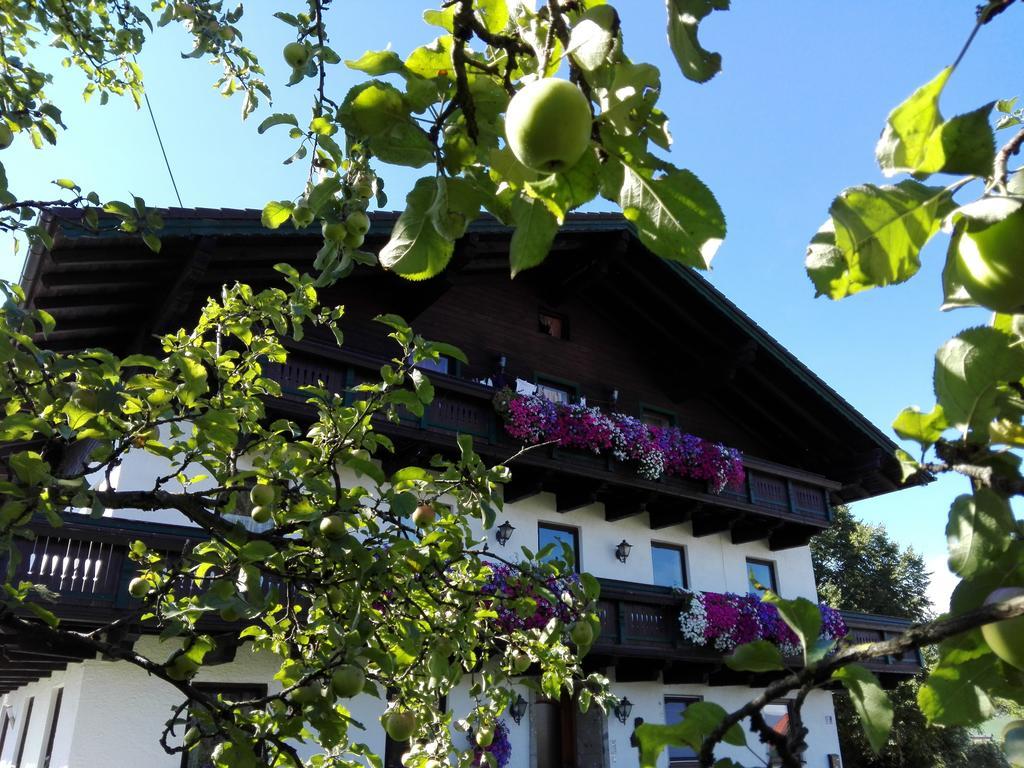 Schusterbauer Villa Koppl ภายนอก รูปภาพ