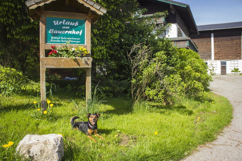 Schusterbauer Villa Koppl ภายนอก รูปภาพ