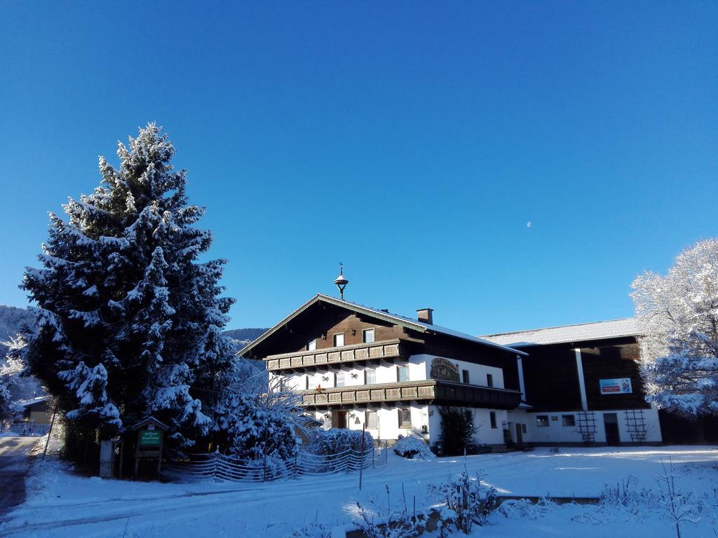 Schusterbauer Villa Koppl ภายนอก รูปภาพ