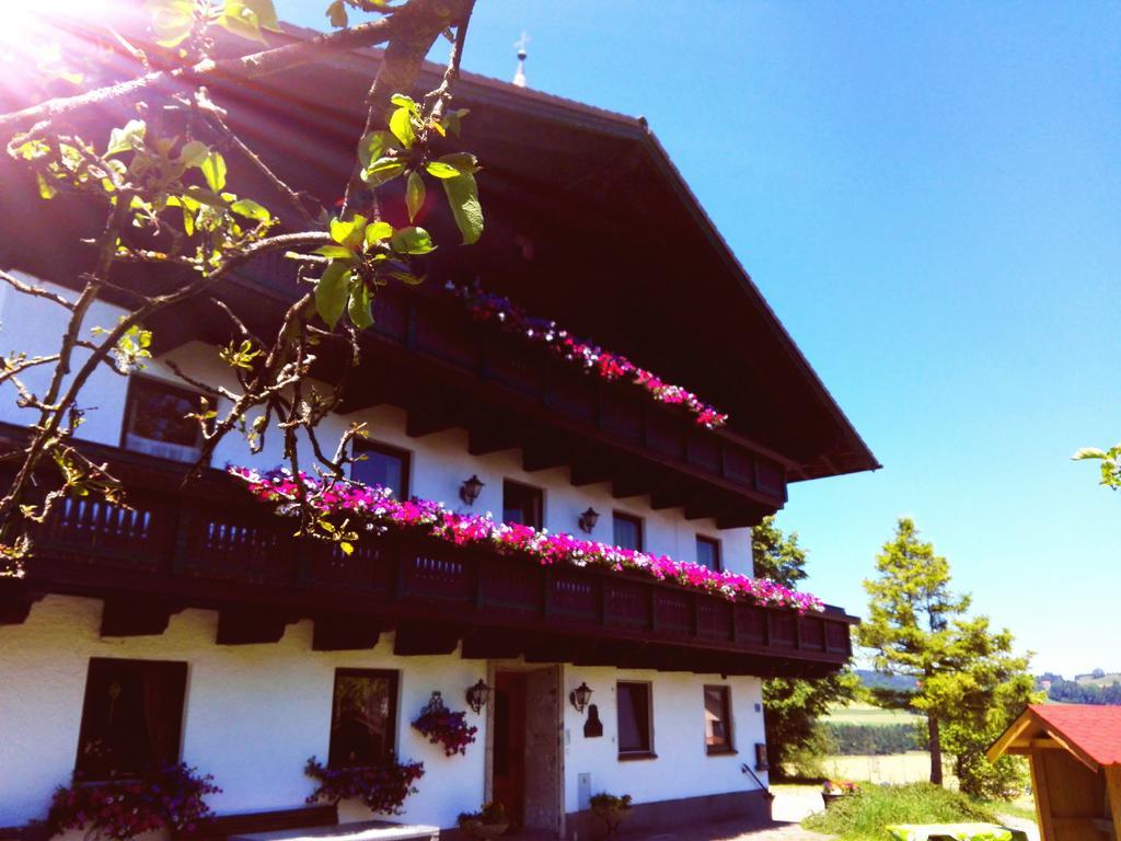 Schusterbauer Villa Koppl ภายนอก รูปภาพ