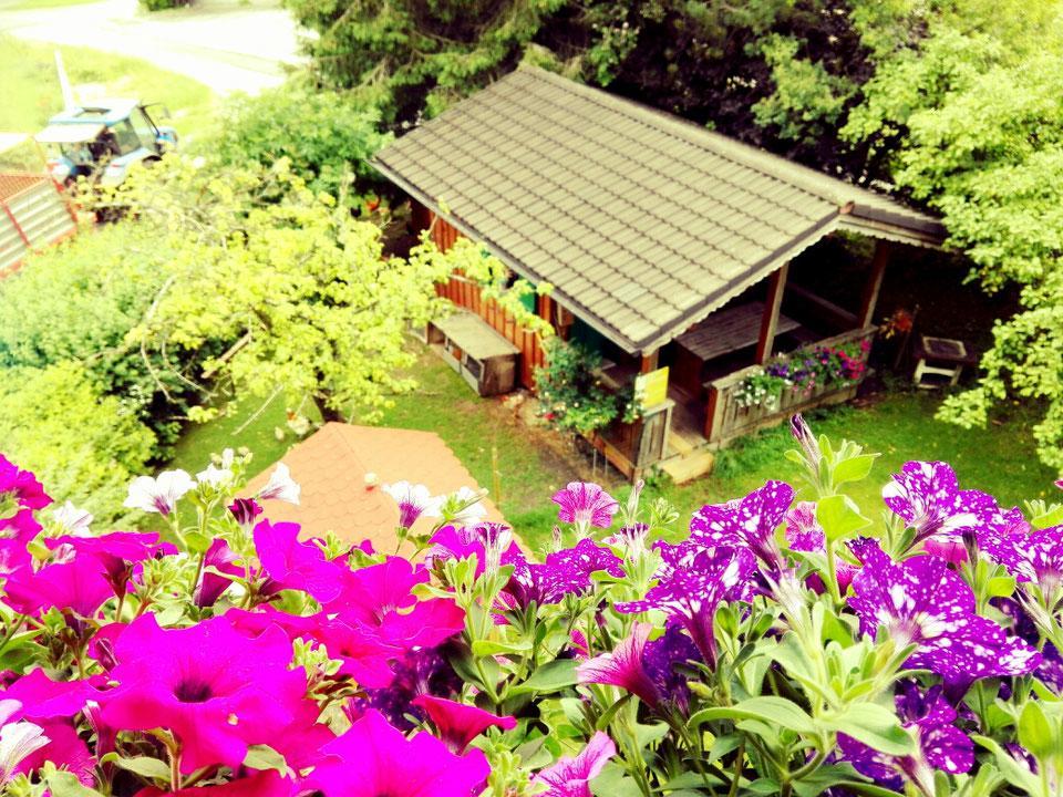 Schusterbauer Villa Koppl ภายนอก รูปภาพ